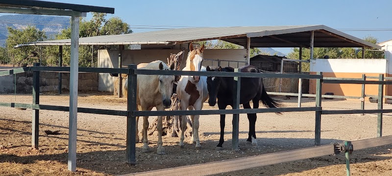 MilTuristas